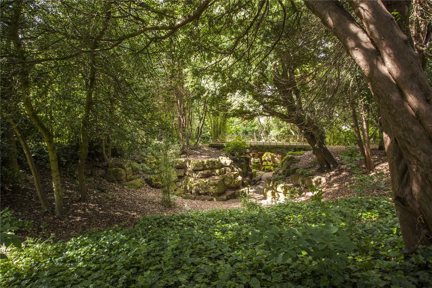 Grounds